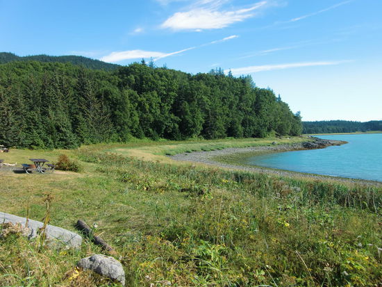 Die andere  Seite unserer grandiosen Bergkette war lieblicher Wald am Day-use-Platz mit Picknickbänken und Feuerstelle und prima Grasfläche für gymnastische Bodenübungen!