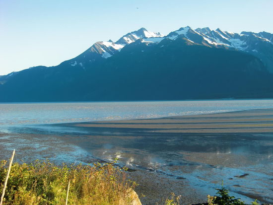 Ebbe! Dabei sahen wir zu wie die Weissseeadler sich die Fische holten