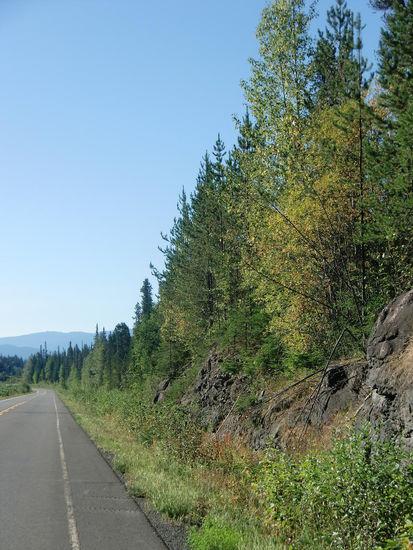 Die ersten gelben Blätter an den Bäumen und das Fireweed war hier schon verblüht, was bedeutet daß der Sommer schon vorbei ist - und das am 10.8.!
