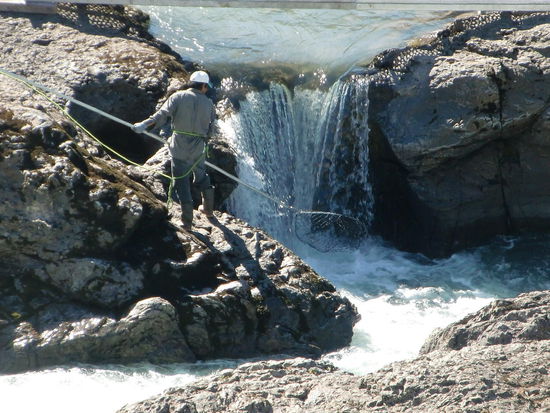 Moricetown-Canyon: Einheimischer angelt sich die Lachse