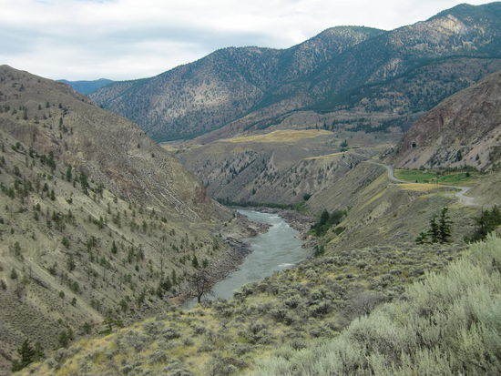 Landschaft wie in Nordafrika! Vorne sieht man die Salbeibüsche und rechts die Strasse  nach Lilliooet