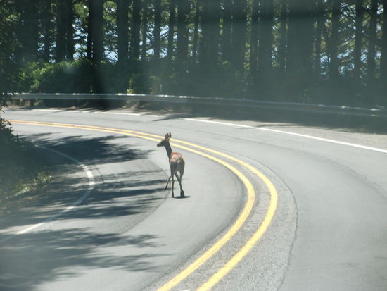 Das ging noch einmal gut!