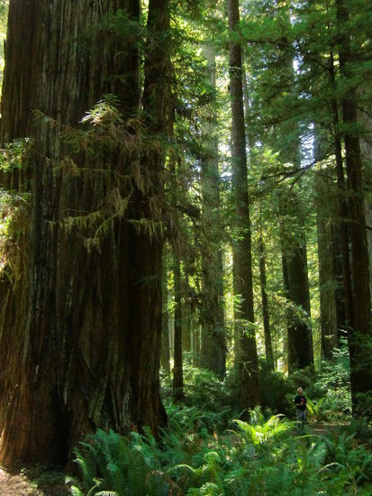 In der Mitte ein kleiner Mensch!