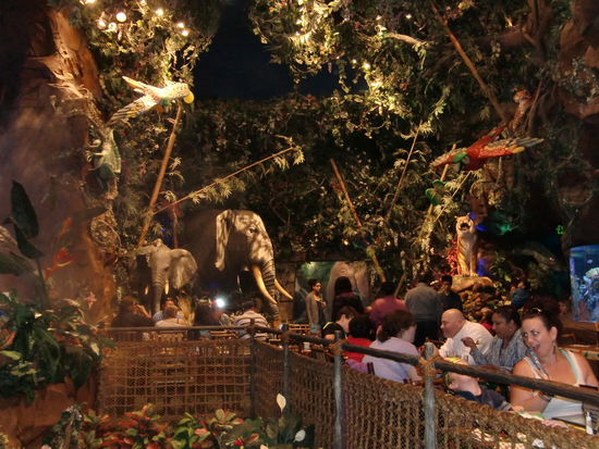 Im Rainforest-Café bewegen sich die Tiere im Restaurant und geben auch noch Laute von sich! Ein Gekreische wie im richtigen Dschungel!