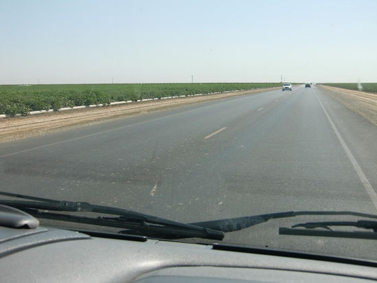 Abzweig zum Sequoia NP: endlos gerade Strasse, rechts und links - dank Bewässerung - Orangen- und Zitronenbäume.