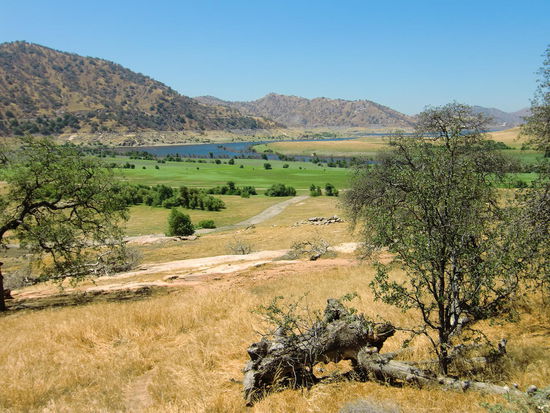 So sieht es aus wenn die vertrocknete Erde bewässert wird.