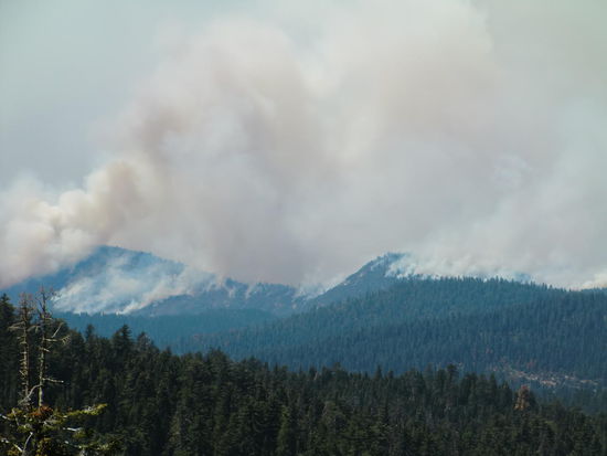 Unterwegs sahen wir unter unserer Strasse einen Waldbrand toben!
Die Route 120 nach San Francisco war wegen des Brandes gesperrt.