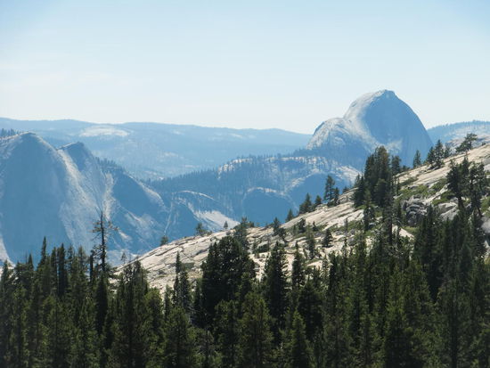 Unterwegs noch einmal einen Blick auf den Halfe Dome
