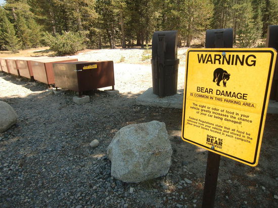 Da es oft vorkommen soll daß Bären Autos beschädigen oder aufbrechen soll man seine Lebensmittel in den bärensicheren verschließbaren Behälter - siehe links im Bild - aufbewahren. Dann kann man beruhigt seine Wanderung starten!