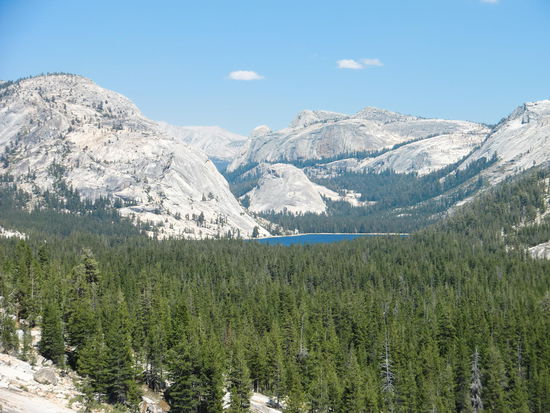 Tenaya Lake