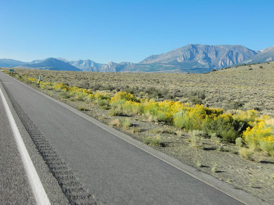 Nach Verlassen des Yosemite NP veränderte sich die Landschaft ab Tioga Pass:Statt ausgedehnter Wälder nur noch Dornengestrüpp und sandiger Boden.