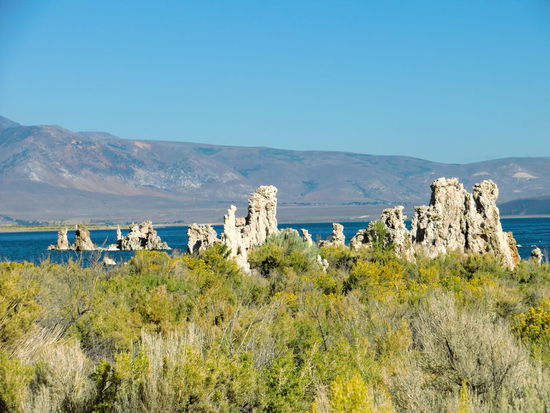 Der Mono Lake ist mit 150 Quadrat-Kilometer der weltgrößte Kratersee und liegt ca. 2000m hoch.
Aus den unterirdischen Zuflüssen des Sees wurde Wasser für Los Angeles abgezapft und der Wasserspiegel sank dadurch bis 15m.
Es kamen dann diese Tuffsteingebilde zum Vorschein!