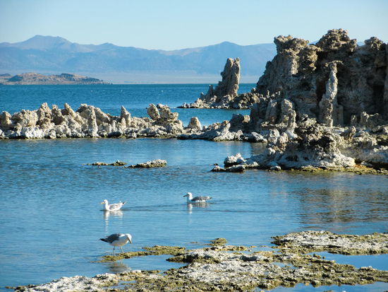 Besonders schön sehen diese Tuffsteingebilde im Zusammenspiel von Wasser und der Wüstenlandschaft im Hintergrund aus.