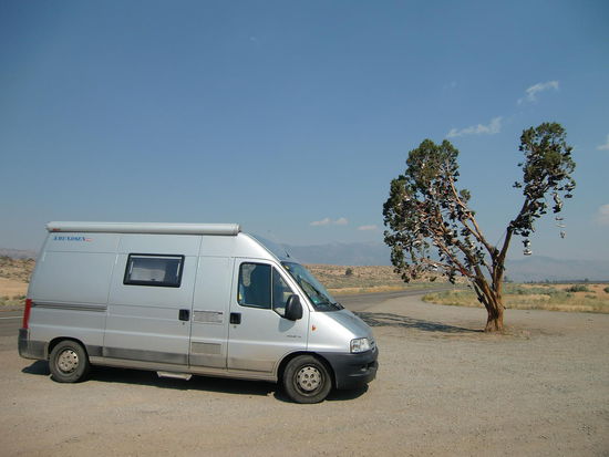 An der 'Grenze' zu Kalifornien war die Autobahn zu Ende und kurz danach auf dem Hwy. entdeckten wir am Strassenrand diesen 'Schuhbaum'!
Es war allerdings nicht zu ergründen was es damit auf sich hat!