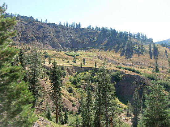 Die Strasse führte wider Erwarten durch dichten oder lichten Wald was wir nicht vermutet hätten in einem Volcanic-Gebiet.
