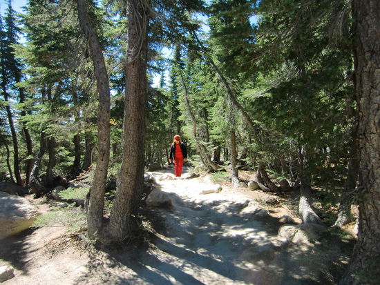 Ein schöner Pfad führte durch den Wald zu den Bumpass Hell