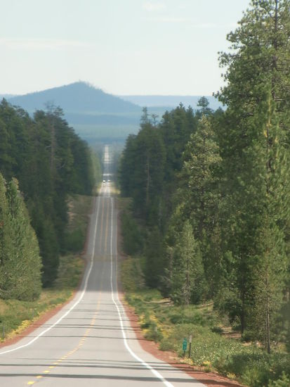 Kanada läßt grüßen! Auf schnurgerader Strasse ging es nach dem Besuch des Crater Lake durch den Wald!