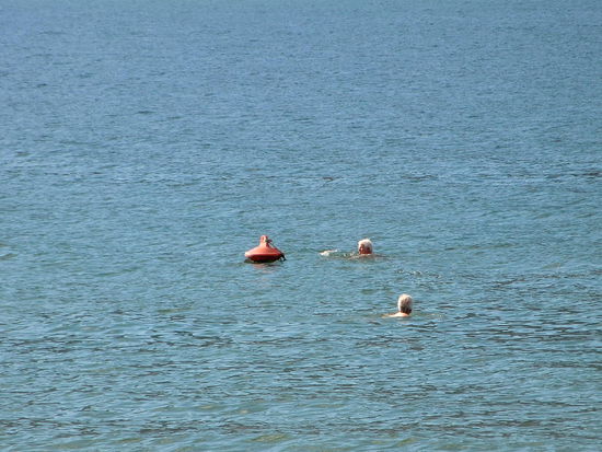 Jeden Nachmittag sind wir eine Runde Schwimmen - oder ich 'Planschen' - in den Okanagan-Lake gegangen!
Das Wasser war richtig angenehm!
Wir hatten in 3 1/2 Tagen nur Sonne und über 30 Grad!