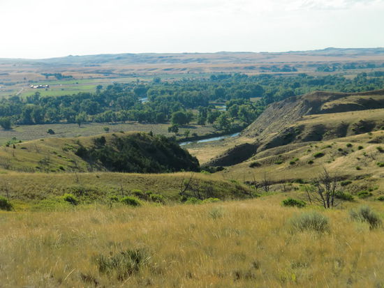 Custer entschloss sich ein Indianerdorf zu überfallen ohne auf die noch nicht eingetroffene Verstärkung zu warten. 
Als das mißlang verschanzte sich eine Gruppierung hier auf dem Hügel mit Blick auf die Ebene am Fluß wo damals das Indianerdorf stand und diese überlebten und wurden nicht von den Indianern getötet. Warum muß ich noch genauer nachlesen!