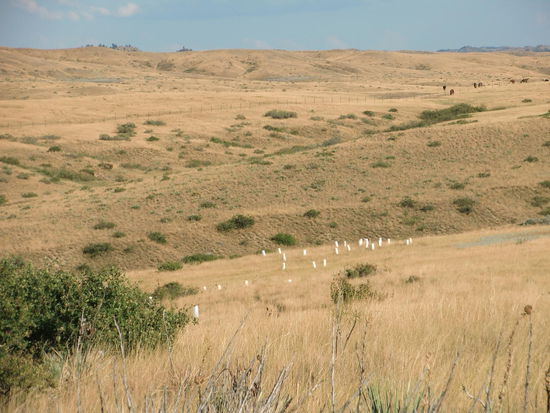 Im weiten Grasland die Grabsteine mit den Namen der angeblich dort getöteten Soldaten