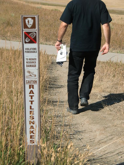 Aber nicht nur nette ungefährliche Tiere besiedeln das ehemalige Schlachtfeld!