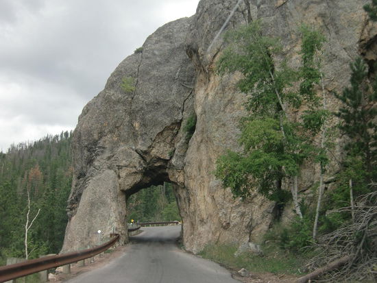 Fahrt zum Custer State Park
Wir bezahlten 15 $ Eintritt und hatten nun 7 folgende Tage freie Fahrt im State Park. Gregor mußte bar bezahlen und dabei bemerkte er dann daß wir kein Bargeld mehr hatten - nur noch 7 Dollar.
DieCampingplätze müssen aber bar bezahlt werden.
Wir sahen im ersten CP nach und - jetzt wurde uns klar weshalb die Dame beim Parkeintritt immer von Reservierung gesprochen hat -sahen zu unserer Überraschung daß die CP hier im Park nur per Reservierung belegt werden konnten.
Also - wir fuhren wieder aus dem Park - an der verblüfften Dame am Parkeingang vorbei - in Richtung Custer und holten dort im Ort Geld aus dem Bankautomaten. Glück gehabt - Gregor konnte sich an seine Geheimnummer erinnern!
CP machte ich in der Nähe ausfindig - siehe unten!
