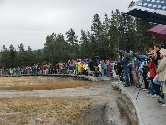 Warten auf den Ausbruch von Old Faithful!
Am Nachmittag war der Andrang noch größer!