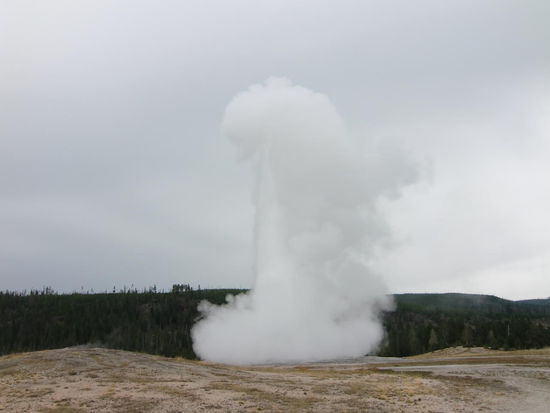Auf ihn ist Verlass! Old Faithful bricht ca. alle 90 Min aus und schießt heißes Wasser 30-55m hoch für 1 1/2 bis 5 Minuten und schafft so um die 14.000-32.000 Liter Wasser an die Oberfläche.
Er kündet seinen Ausbruch mit blubberndem heißen Wasser an! Da hat er uns beim zweiten Mal aber ganz schön 'veräppelt'!
Erst beim fünften oder sechsten Blubbern brach er dann wirklich aus!