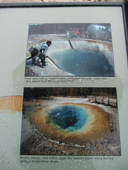 Wieviele gehirnamputierte Menschen gibt es eigentlich auf der Welt?
Da gibt es wirklich Leute die Abfall in diesen einmalig schönen Pool werfen und ihn verstopfen oder zerstören!!!