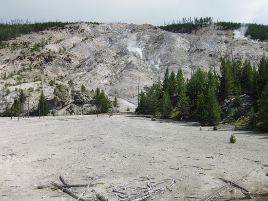 Der Roaring Mountain
Der Wald wurde plötzlich unterbrochen und man sah einen weißen Berghang und überall kamen Rauchschwaden heraus und der Bergg 'grollte'!!!!