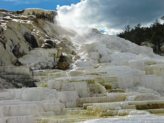 Die Minerva Terrace Kalksinter-Terrassen
Wie in Pammukkale in der Türkei