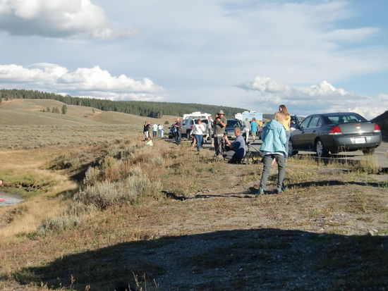 Das war der Otter-Fotografierplatz!