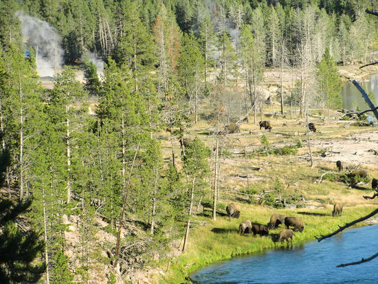 Vorne der kühle Fluss und hinten die heißen Rauchsäulen