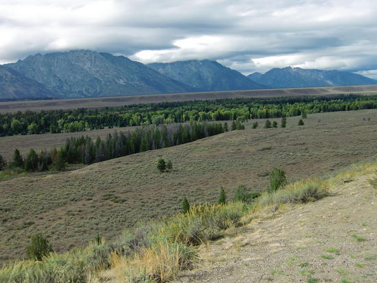 Grand Teton NP: Sehen so die Alpen aus?