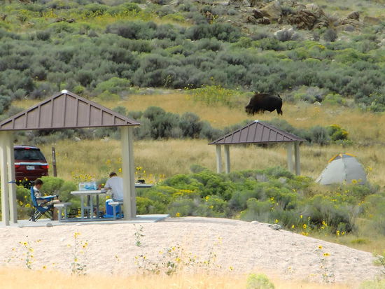 Und dort blieb er dann!