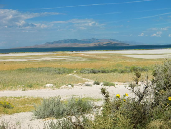 Blick von unserem Stellplatz auf eine vorgelagerte Insel und den Salt lake