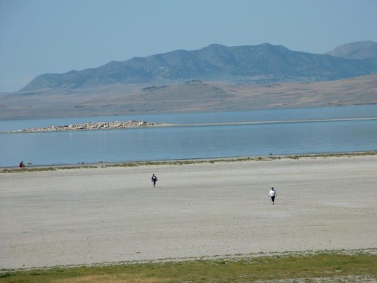 Am Day Use Platz ging ein Steg zum Strand. Es gab auch einen Imbiss dort der Buffalo-Burger anbot (9,75$). Aber  wie könnte ich siese Tierer essen? Genügt schon daß meinetwegen Rinder, Schweine und Hühner dran glauben müssen! 
Gregor überredet ich zu einem 'Gourmet-Kaffee'! Heißes Wasser mit Kaffeegeschmack wie so oft! Außerdem schmeckt mir das nach Pappe-Kaffee_Pappe! Daran kann ich mich nicht gewöhnen! Ich wünsche mir die schönen europäischen Cafés hierher!!!
Das Schwimmen war mal ein Erlebnis - aber kein Vergnügen weil im Wasser unzählige kleine Shrimps schwammen und auch die toten 'Hülsen' von unzähligen Shrimps sich in der Badebekleidung feststetzten.
Am Strand mußte man erst einmal durch tausende von kleinen Sandfliegen waten.
Der Salt Lake hat zwischen 10 und 25% Salzgehalt.