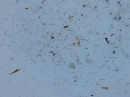 So sieht das dann aus wenn man im Salt Lake schwimmen geht!