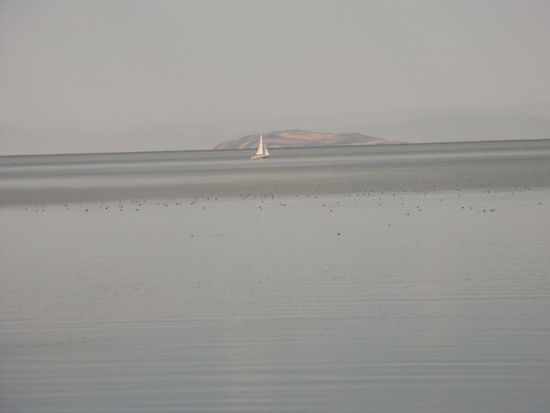 Es sind so gut wie keine Boote auf dem Lake
Aber der See ist ein Paradies für Vogelbeobachter