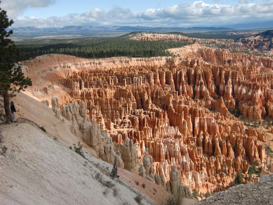Gregor (wo ein Baum steht, kann auch noch ein Mensch stehen) blickt auf das atemberaubende 'Amphitheater'