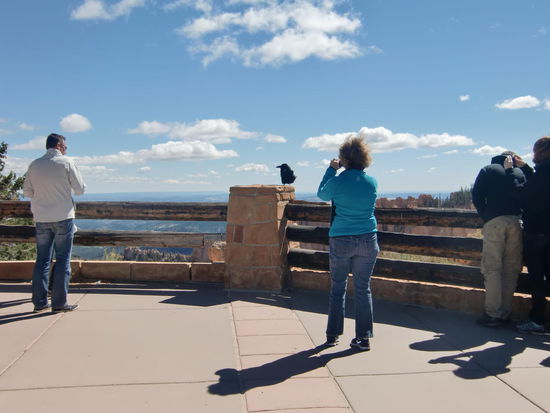 Also in diesem Fall waren die bizarren Felssäulen Nebensache!
Verständlich, bei diesem einmalig schönen Exemplar ...... siehe unten!