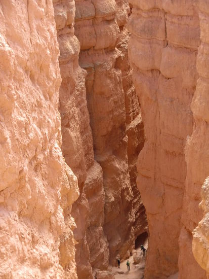 Dieser kurze (ca. 2,5 km ) Trail geht in Serpentinen hinab und wieder hinauf. Aber ganz easy das Ganze! 
Der Navajo-Trail ist ein echtes Erlebnis! Und unten findet man grüne Wiesen und hohe, schattige Bäume!