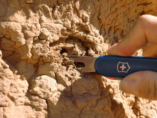 Jedenfalls befinden sich viele Felsen auf fragilem Untergrund.
Mit dem Taschenmessser hätte Gregor 'mit viel Geduld' ein Felsgebilde zum Einstürzen bringen können!