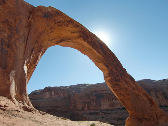 Gegen die Sonne fotografiert erschien der Bogen wunderschön gold-gelb