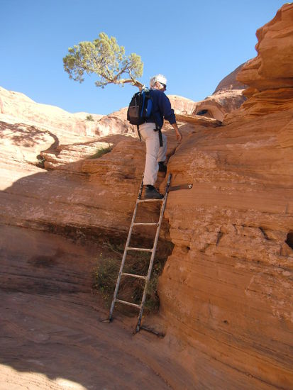Über die 'Leiter' mußten wir aber schmunzeln so kurz wie die war!