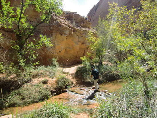 Wanderung zur Natural Nridge!
Der Pfad war oft so schmal daß man nicht zu zweit nebeneinander vorbeikam.
Da fiel mir ganz krass die Rücksichtslosigkeit der Amerikaner auf! Da hielt niemand an - auch wenn er noch so langsam war.
Alles geht weiter bis fast zur Kollision - und dann gibt einer nach!
Gregor wartete anfangs geduldig bis ich sarkastisch fragte:' Haben wir den Biwak-Sack dabei falls wir heute Nacht hier bleiben müssen!'
Wieso denn nachts hierbleiben?
Weil, wenn Du weiter so lange wartest und alle vorbeiläßt, wir die Tour bis heute Abend nicht schaffen werden!
In den Alpen ist das wirklich völlig anders! Der Bergabgeher bleibt stehen weil es bergauf beschwerlicher ist und man im Rhythmus sein muß oder der Langsamere macht Platz!
Überhaupt ist die Rücksichtslosigkeit hier gang und gäbe! Jetzt weiß ich auch warum es die Schilderhalter an den Baustellen gibt!
Hier an dern Baustelle war eine Ampel und jeder Ami fährt solange durch wie er einen Vordermann sieht,, auch wenn'Rot' ist!
Als Gregor anhielt und nur unser Vordermann fahren konnte weil inzwischen wieder Rot war, überholten uns die nachfolgenden Autos alle und fuhren ebenfalls bei Rot einfach weiter!
Wenn jeder das so macht, haben wir 'Anarchie'!
Dann kam unser Stellplatznachbar noch auf die Idee seinen Motor laufen zu lassen um ihn zu reparieren. Die Abgase hatten wir alle im Auto! Aber ich wollte mich nicht schon wieder aufregen! Die haben doch alle einn Colt im Auto!?
Zum Abschied - damit er uns nicht schwer fällt - hackte er dann noch um 22:30 Uhr Holz während wir unser idyllisches Lagerfeuer genossen!!!