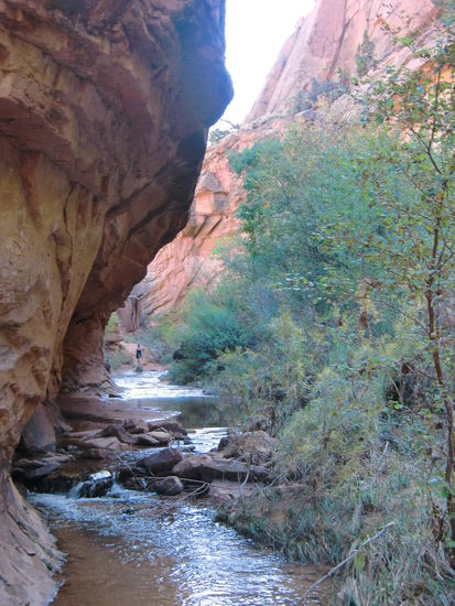 Der Weg führte am Bach und mehrmals über den Bach!
Es waren viele Leute unterwegs.
Bewundernswert war das schon daß auch viele ältere Leute die Tour machten!