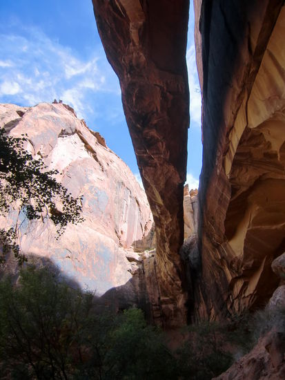 Weg ca. 2 1/2 Std. Hin- un Zurück