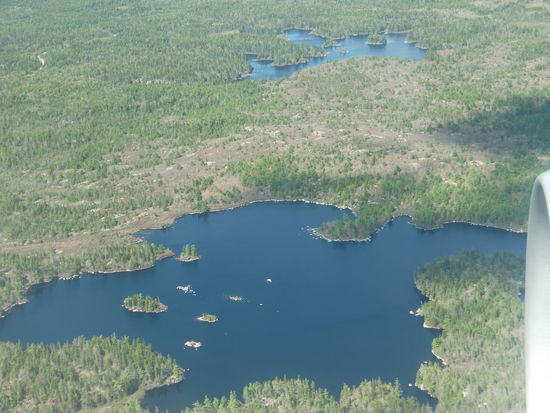 Erster Eindruck von Nova Scotia kurz vor der Landung
Die Natur ist noch nicht so weit wie in Deutschland!
Hier ist Frühling!
Noch vieles braun und die Bäume, bes. die Birken bekommen      
gerade ihr erstes Grün!