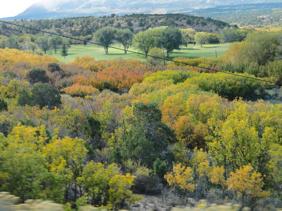 Zuerst einmal hat er die Bäume bei Monticello innerhalb eines Tages doppelt so bunt gefärbt!
Der Kälteeinbruch war enorm!
Wir hatten hier mittags nur 9 Grad.
In Blandings haben wir unsere Gasflasche auffüllen lassen. War notwendig da wir einige Male bereits Heizen mußten. Die letzte Füllung hielt somit nur 3 Wochen.
Der Preis für 8l Propan war 14,36 $.
Wir trafen an der Tankstelle einen amerikanischen Touristen der uns erzählte daß die letzte Haushaltsdebatte oder besser der Streit um den Haushaltsetat um die gleiche Angelegenheit (?) ca. 4 Jahre zurück liegen würde und damals die NP 3 Wochen lang geschlossen waren!
Das gibt wenig Hoffnung auf eine baldige Öffnung!